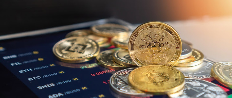 The FSCA prohibits retirement funds from investing in volatile crypto &mdash; for good reason